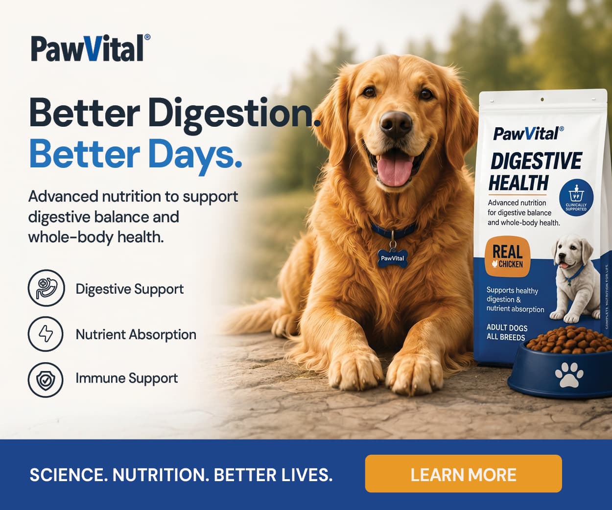 PawVital display banner — 6:5 format