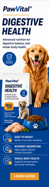 PawVital display banner — 160×600 skyscraper