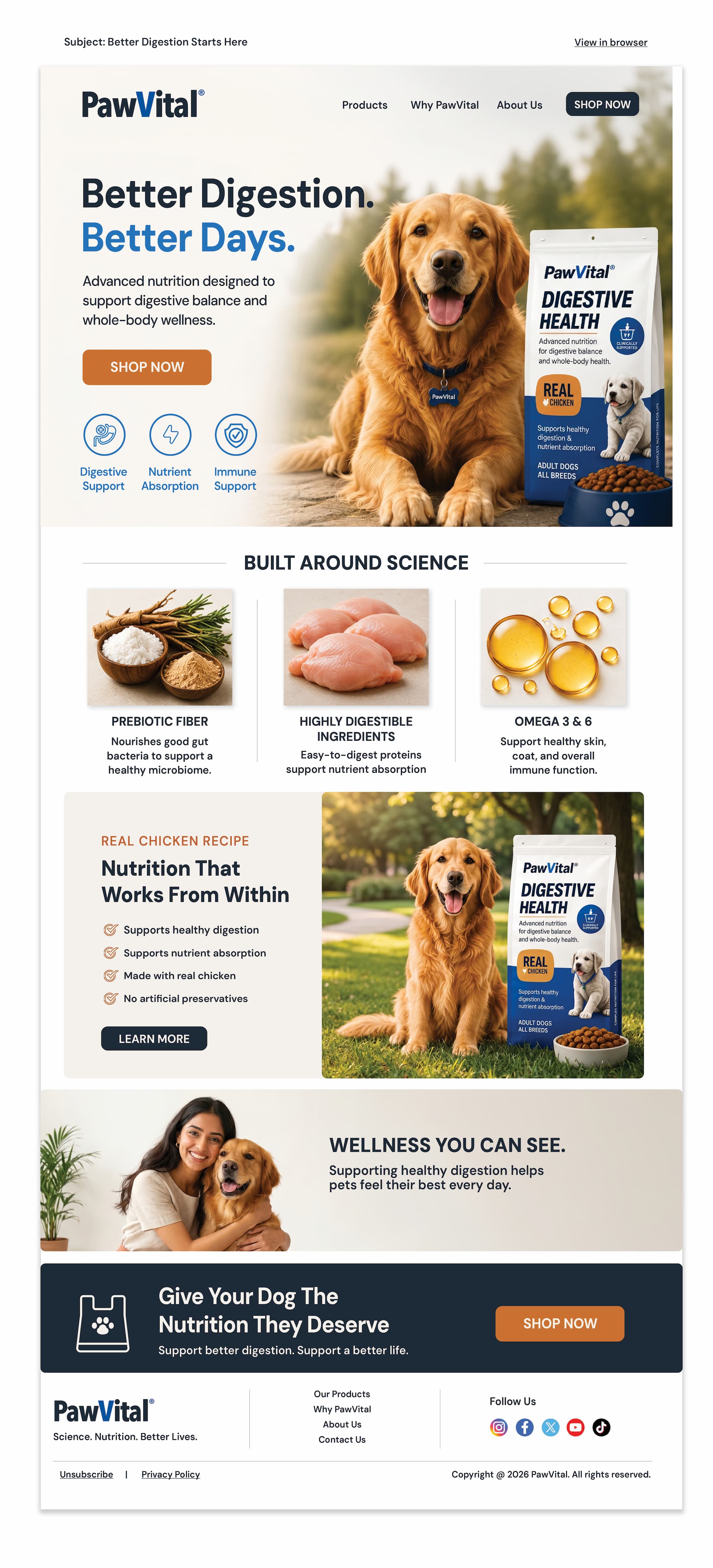 PawVital Digestive Health — responsive HTML campaign email