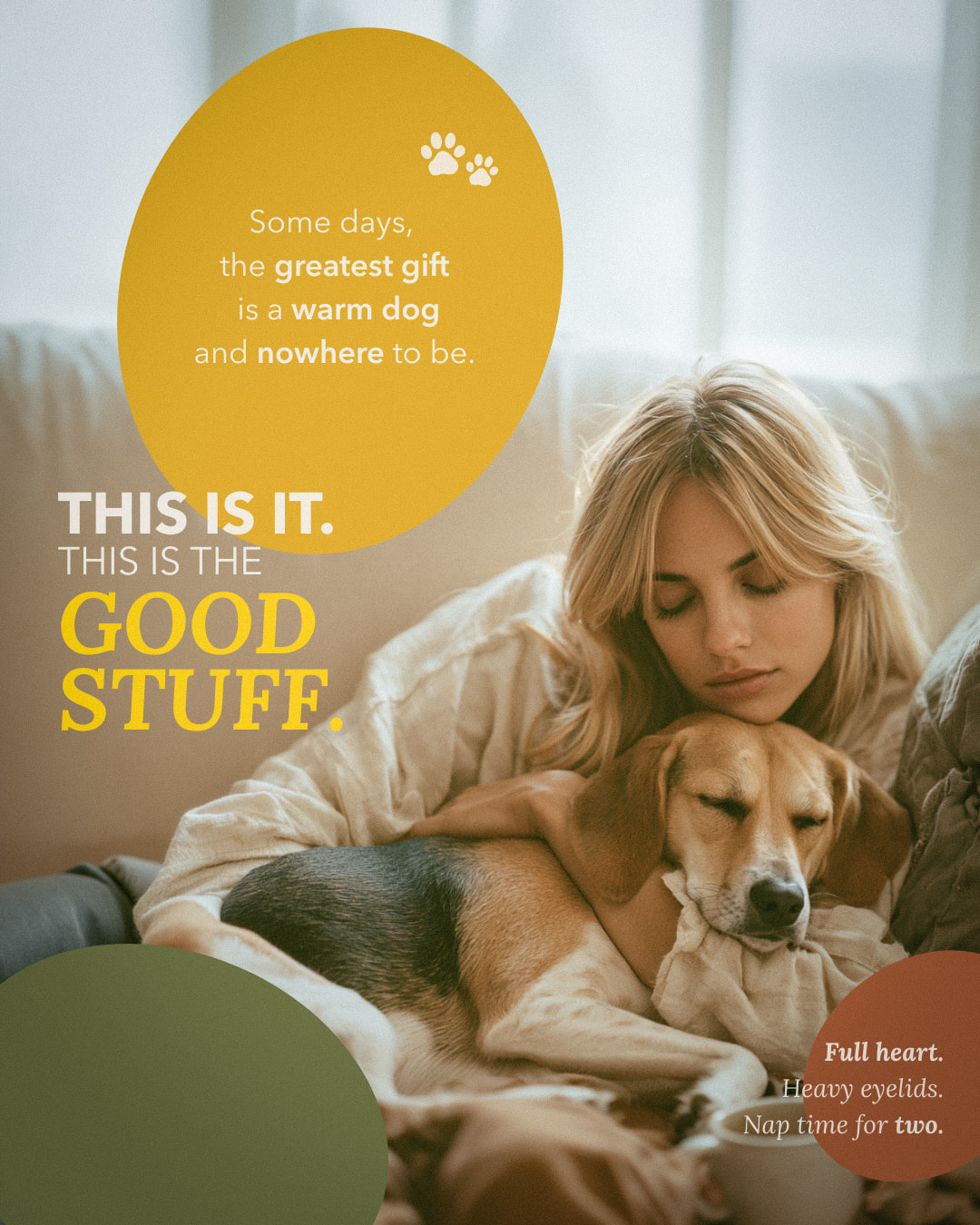 PawVital social — brand storytelling, image 1
