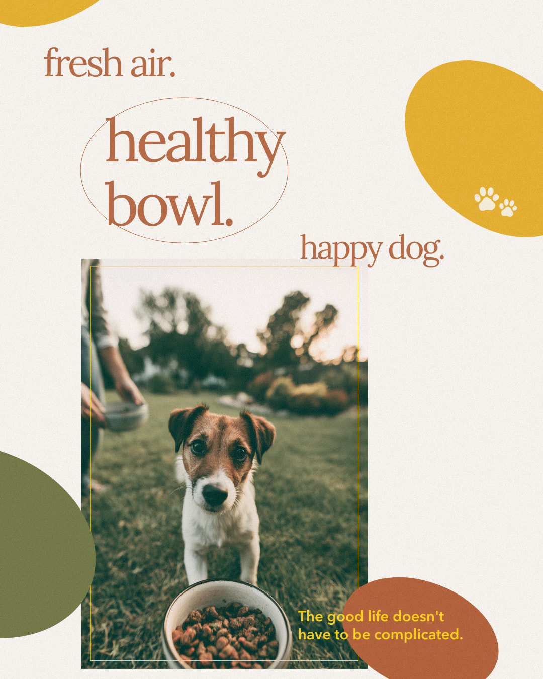PawVital social — brand storytelling, image 2