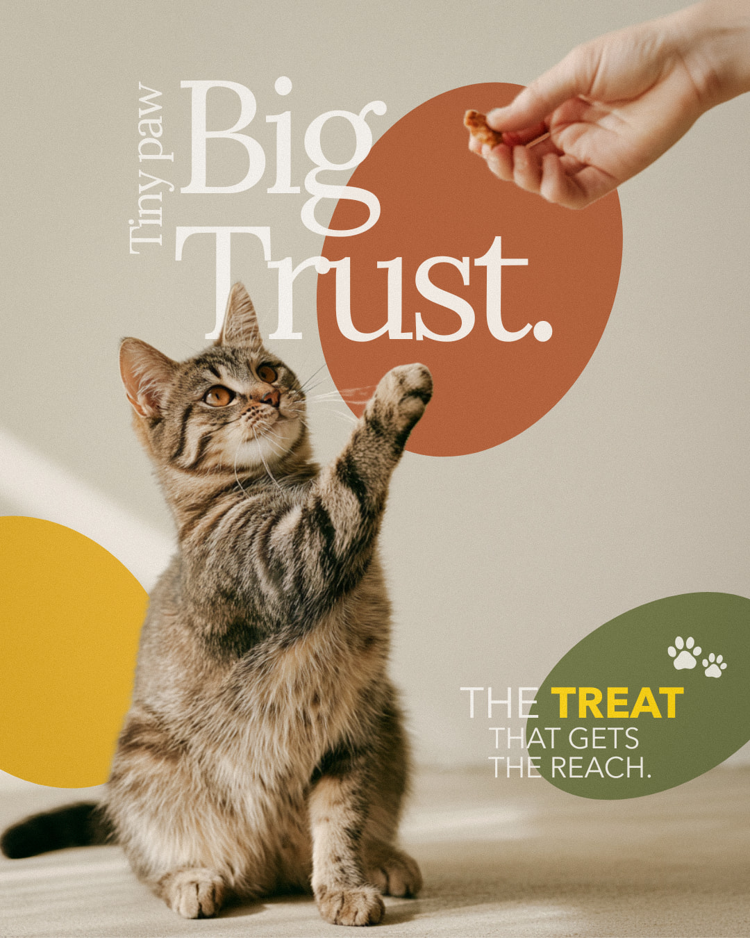PawVital social — brand storytelling, image 3