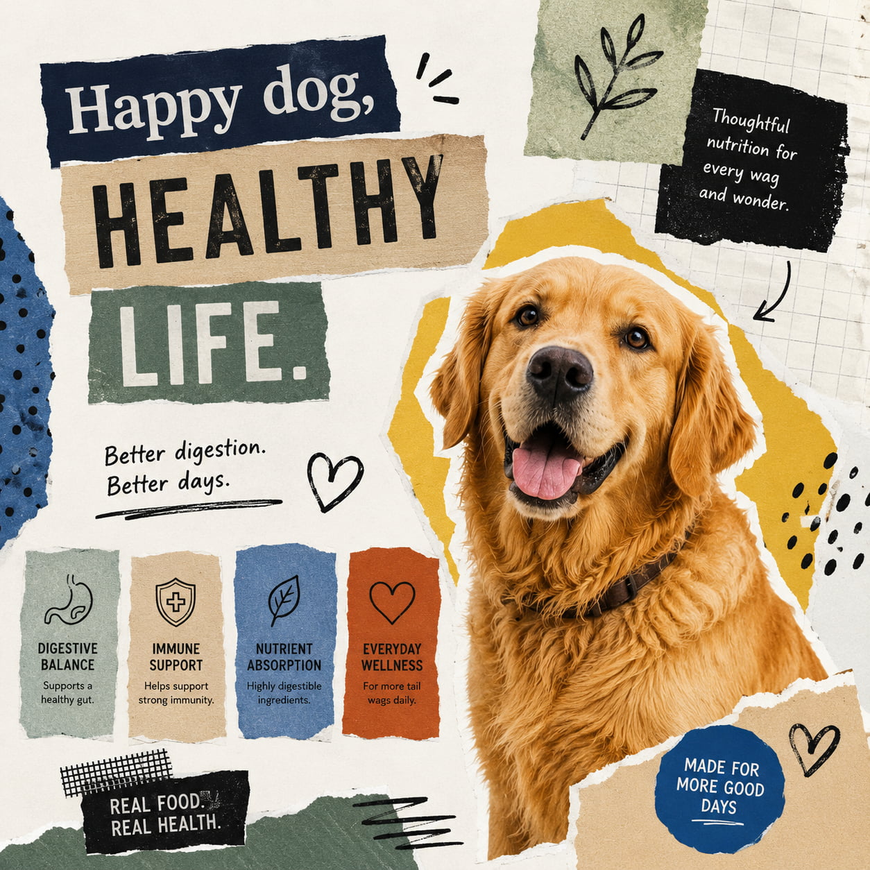 PawVital social — education set, image 2